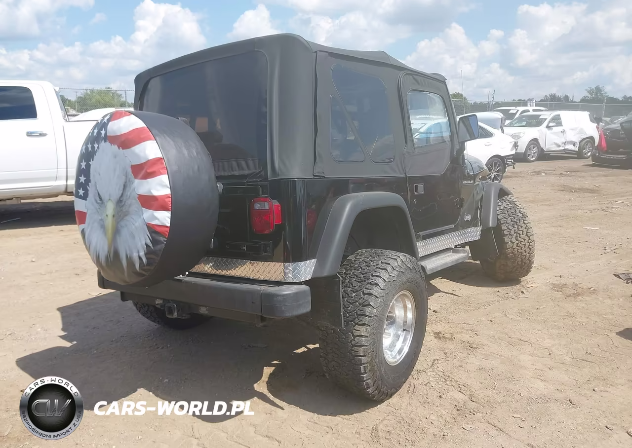 2002 Jeep Wrangler X VIN:1J4FA39S92P759957 - 4