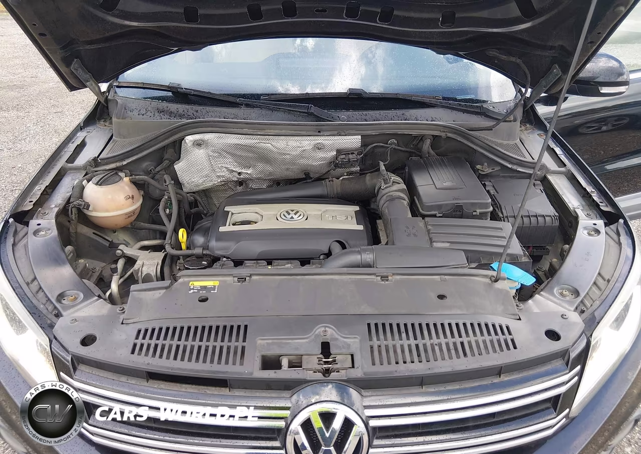 2014 Volkswagen Tiguan Sel VIN:WVGAV3AXXEW559896 - 10