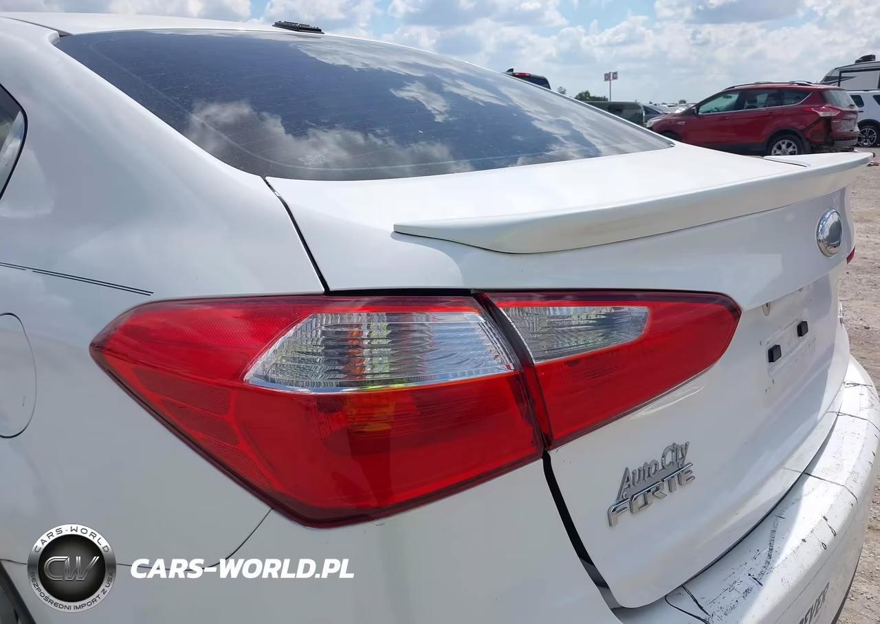 2014 Kia Forte Ex VIN:KNAFX4A89E5120470 - 16