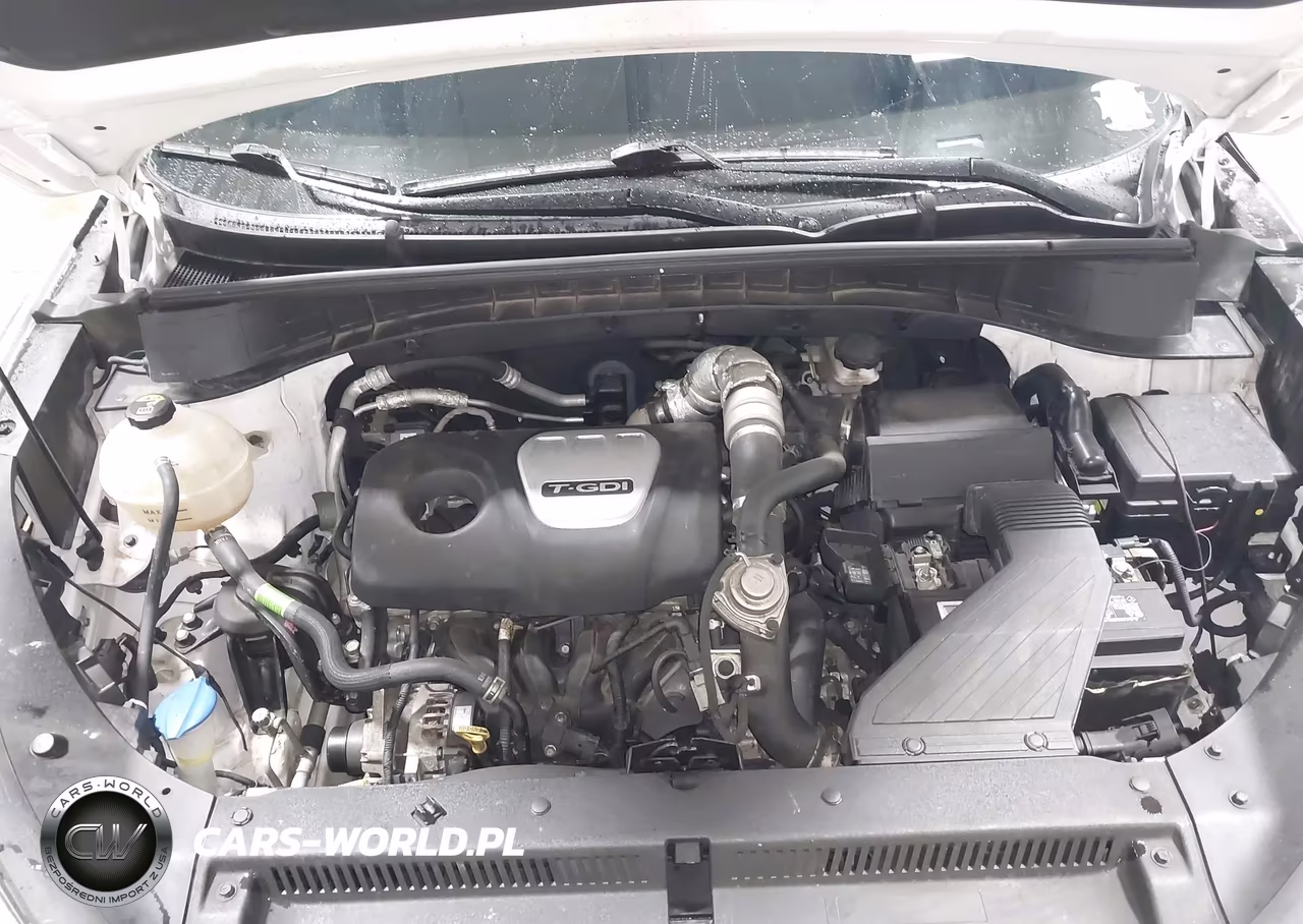 2018 Hyundai Tucson Value VIN:KM8J3CA25JU685213 - 10