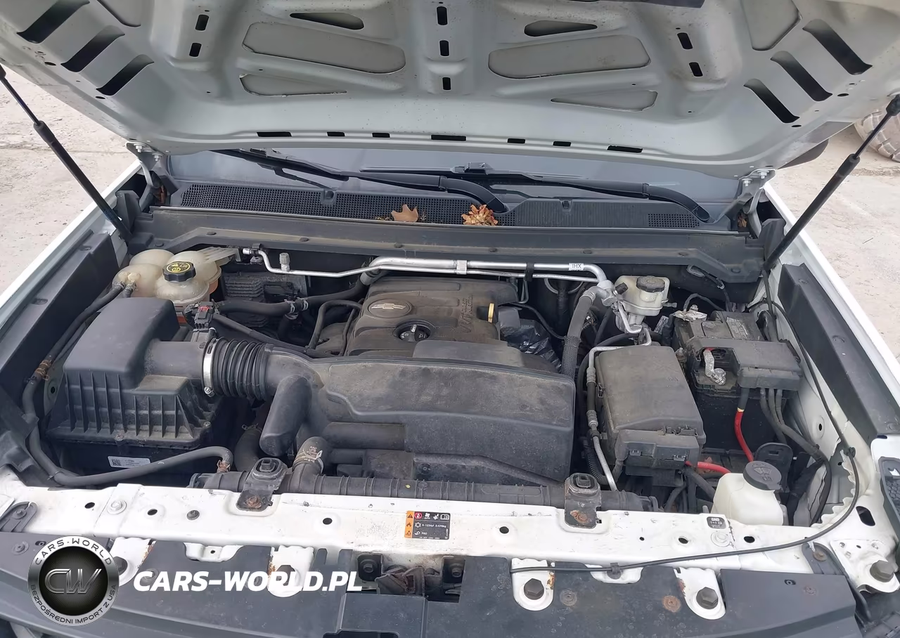 2017 Chevrolet Colorado VIN:1GCHSBEA9H1158319 - 10