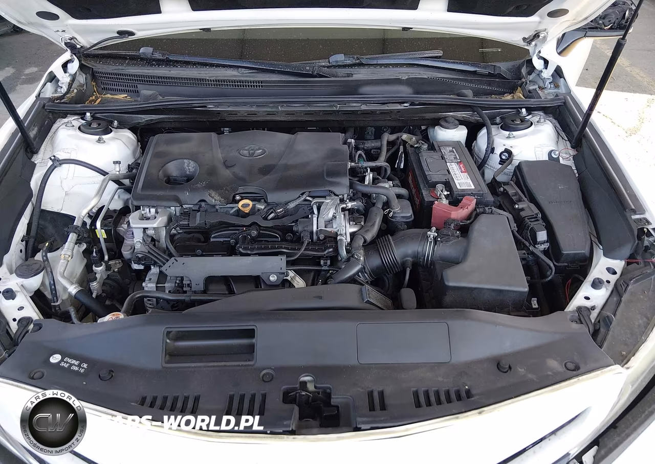 2019 Toyota Camry Se VIN:4T1B11HK9KU238857 - 10
