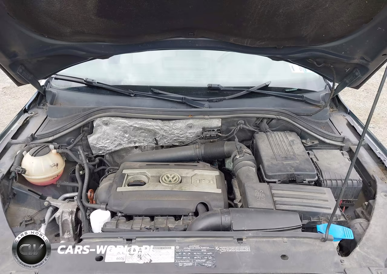 2011 Volkswagen Tiguan Se VIN:WVGBV7AX7BW538429 - 10