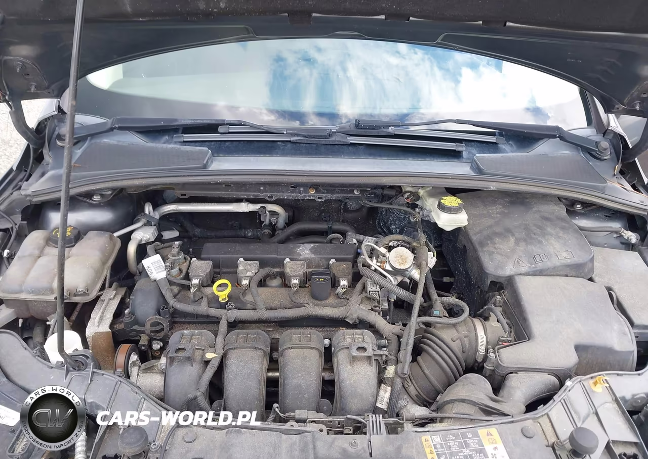 2017 Ford Focus Sel VIN:1FADP3H29HL262474 - 10