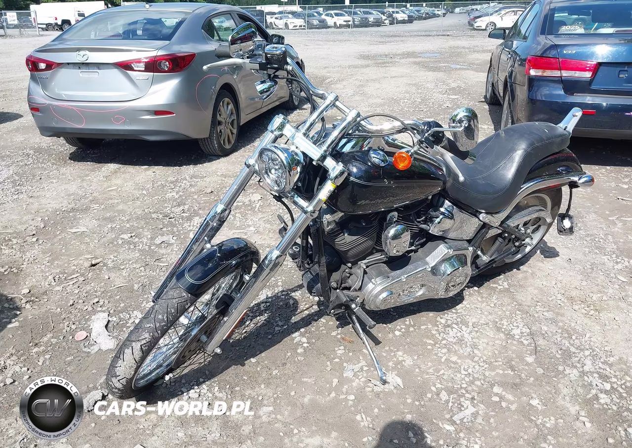 2006 Harley-Davidson Fxstdi VIN:1HD1JBB106Y051249 - 2