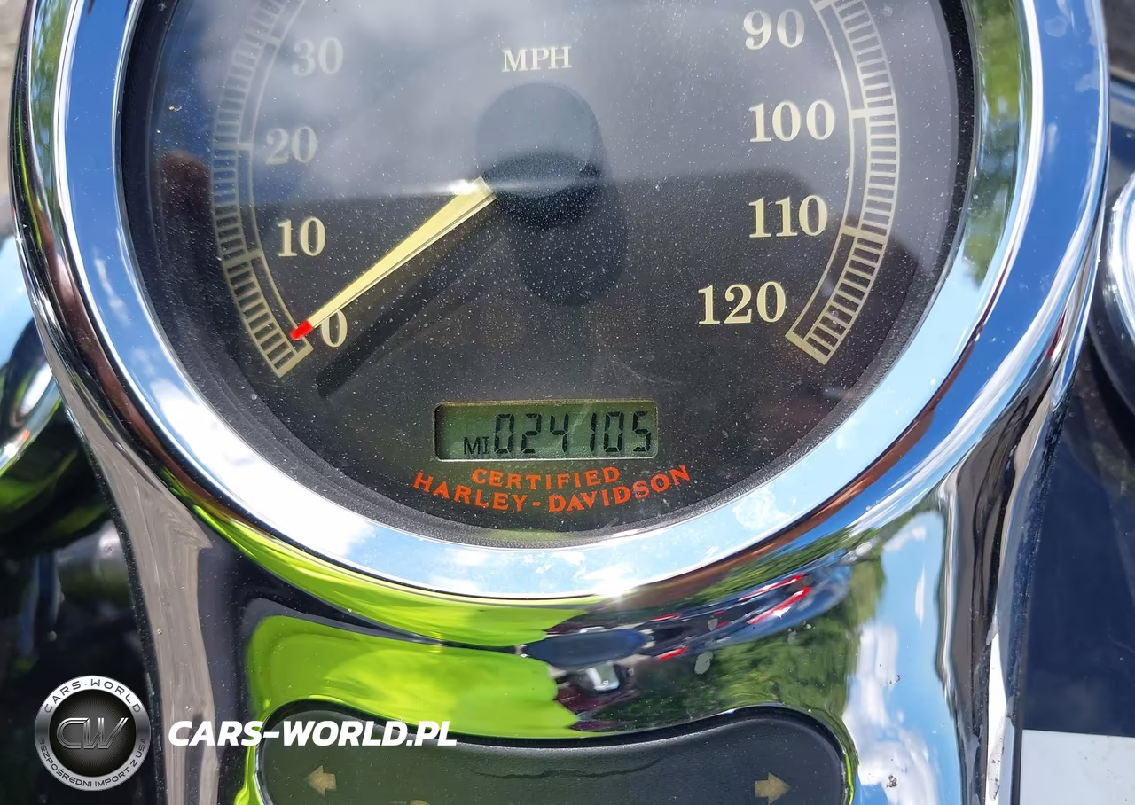2006 Harley-Davidson Fxstdi VIN:1HD1JBB106Y051249 - 7