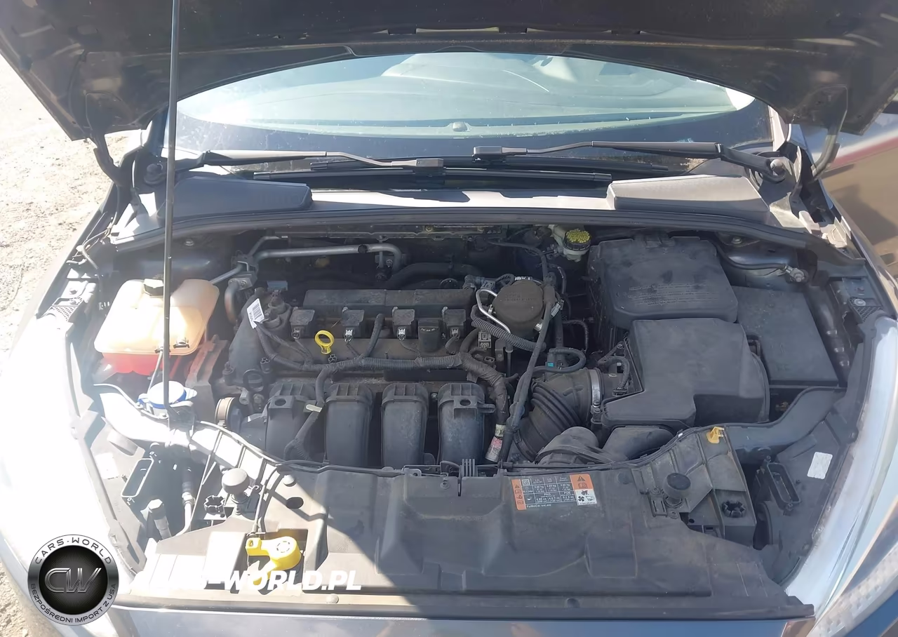 2015 Ford Focus Se VIN:1FADP3F24FL295768 - 10