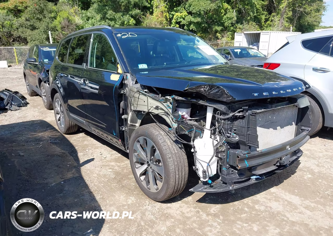2022 Kia Telluride S VIN:5XYP6DHCXNG290073 - 1