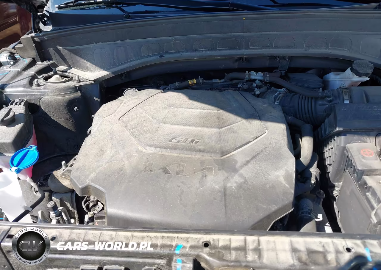 2022 Kia Telluride S VIN:5XYP6DHCXNG290073 - 10