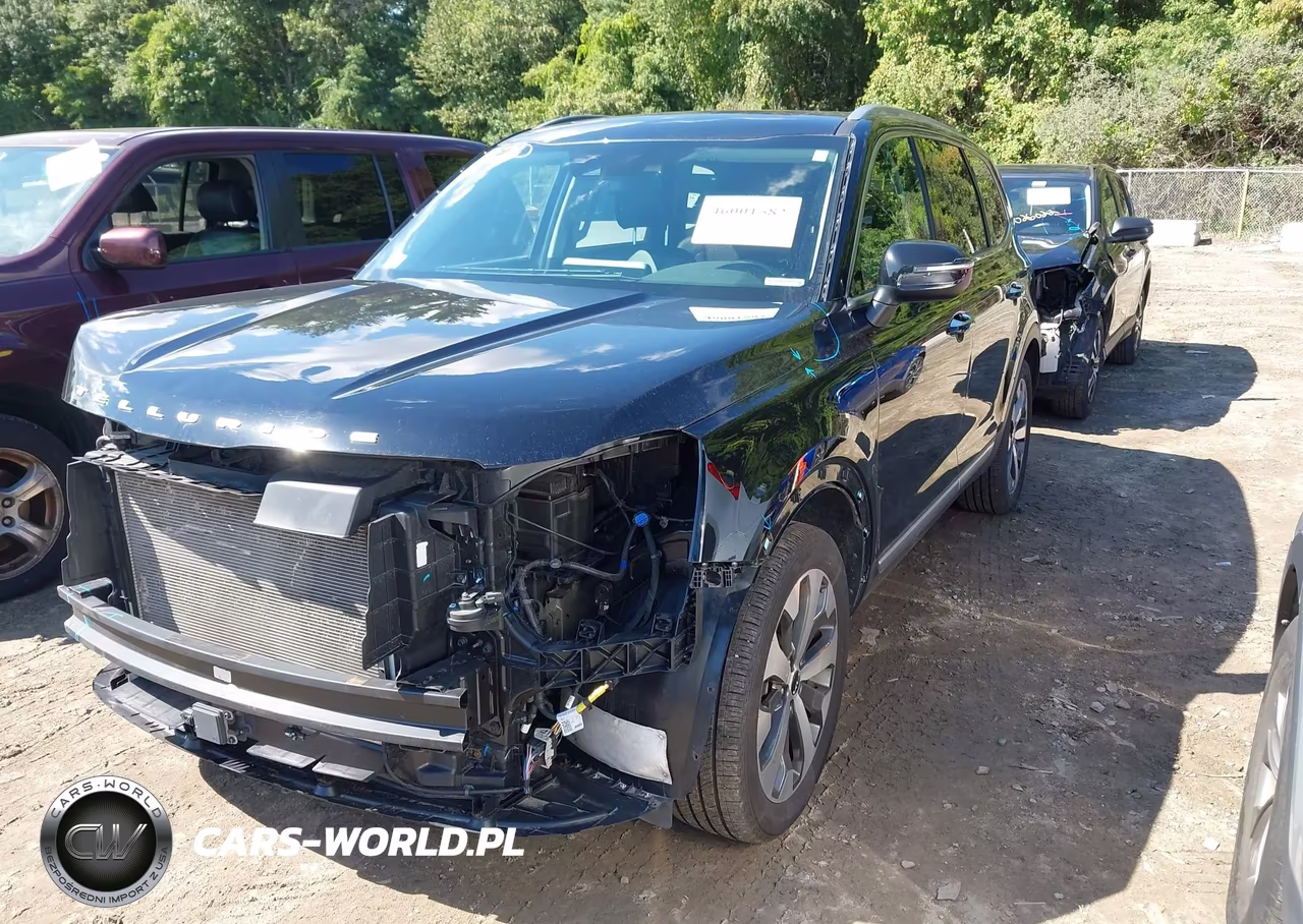 2022 Kia Telluride S VIN:5XYP6DHCXNG290073 - 2