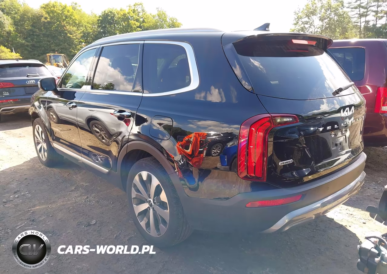2022 Kia Telluride S VIN:5XYP6DHCXNG290073 - 3