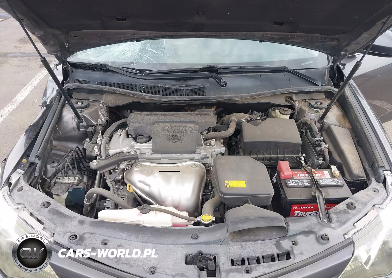 2014 Toyota Camry Se VIN:4T1BF1FK0EU461233 - 10