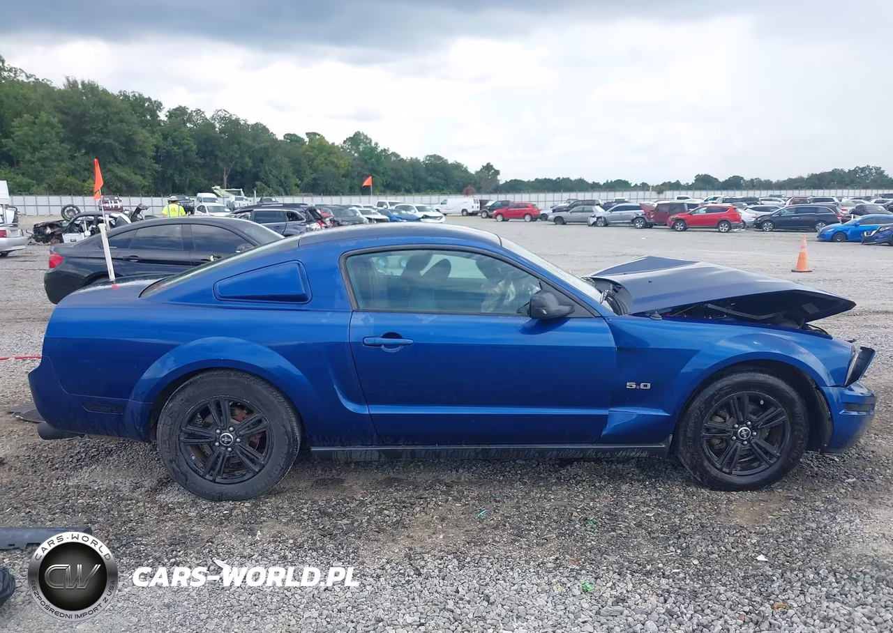 2006 Ford Mustang V6 VIN:1ZVFT80N665128814 - 13