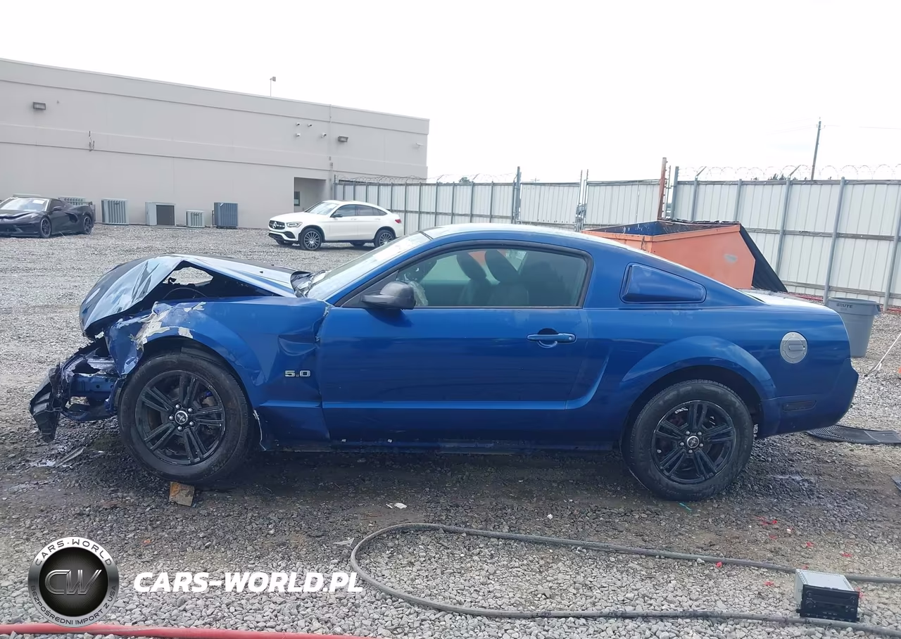2006 Ford Mustang V6 VIN:1ZVFT80N665128814 - 14