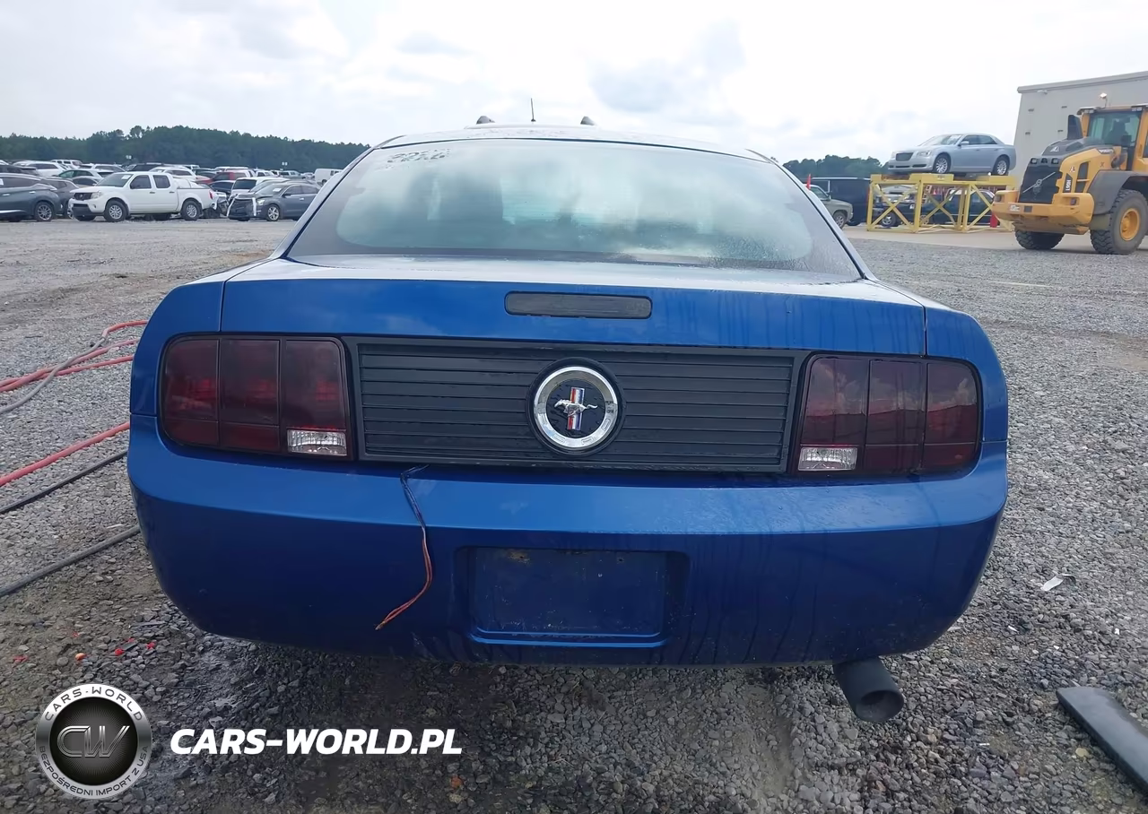 2006 Ford Mustang V6 VIN:1ZVFT80N665128814 - 16
