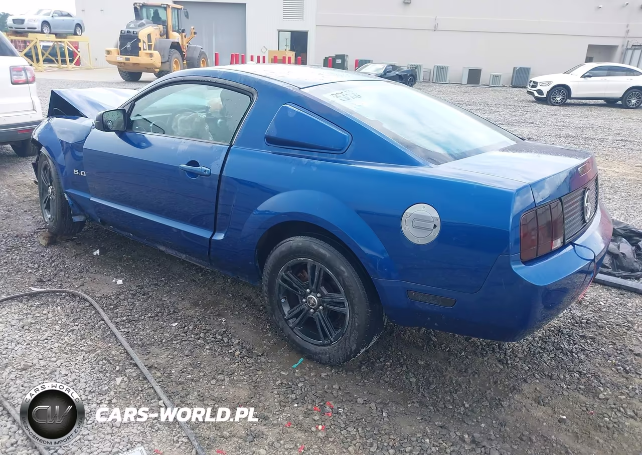2006 Ford Mustang V6 VIN:1ZVFT80N665128814 - 3