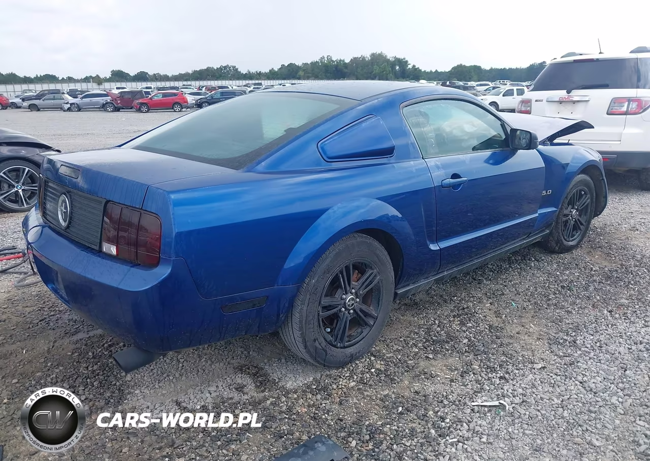 2006 Ford Mustang V6 VIN:1ZVFT80N665128814 - 4