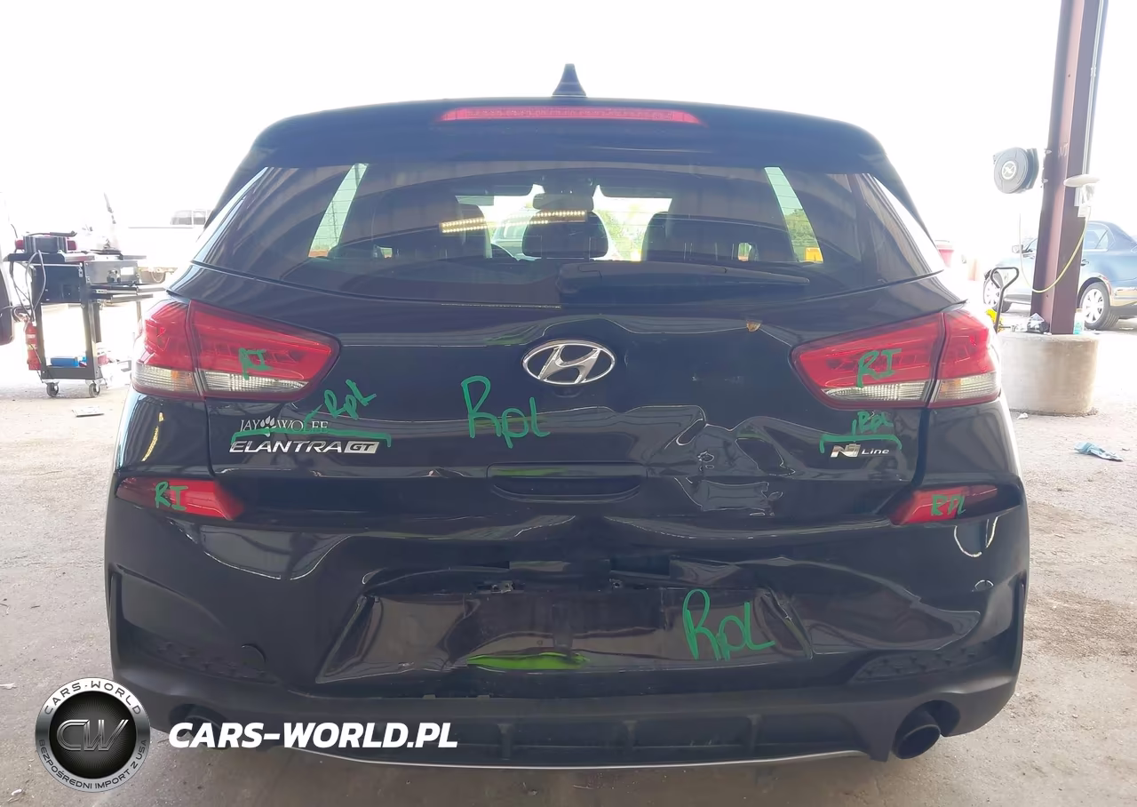2019 Hyundai Elantra Gt N Line VIN:KMHH55LC3KU095569 - 17