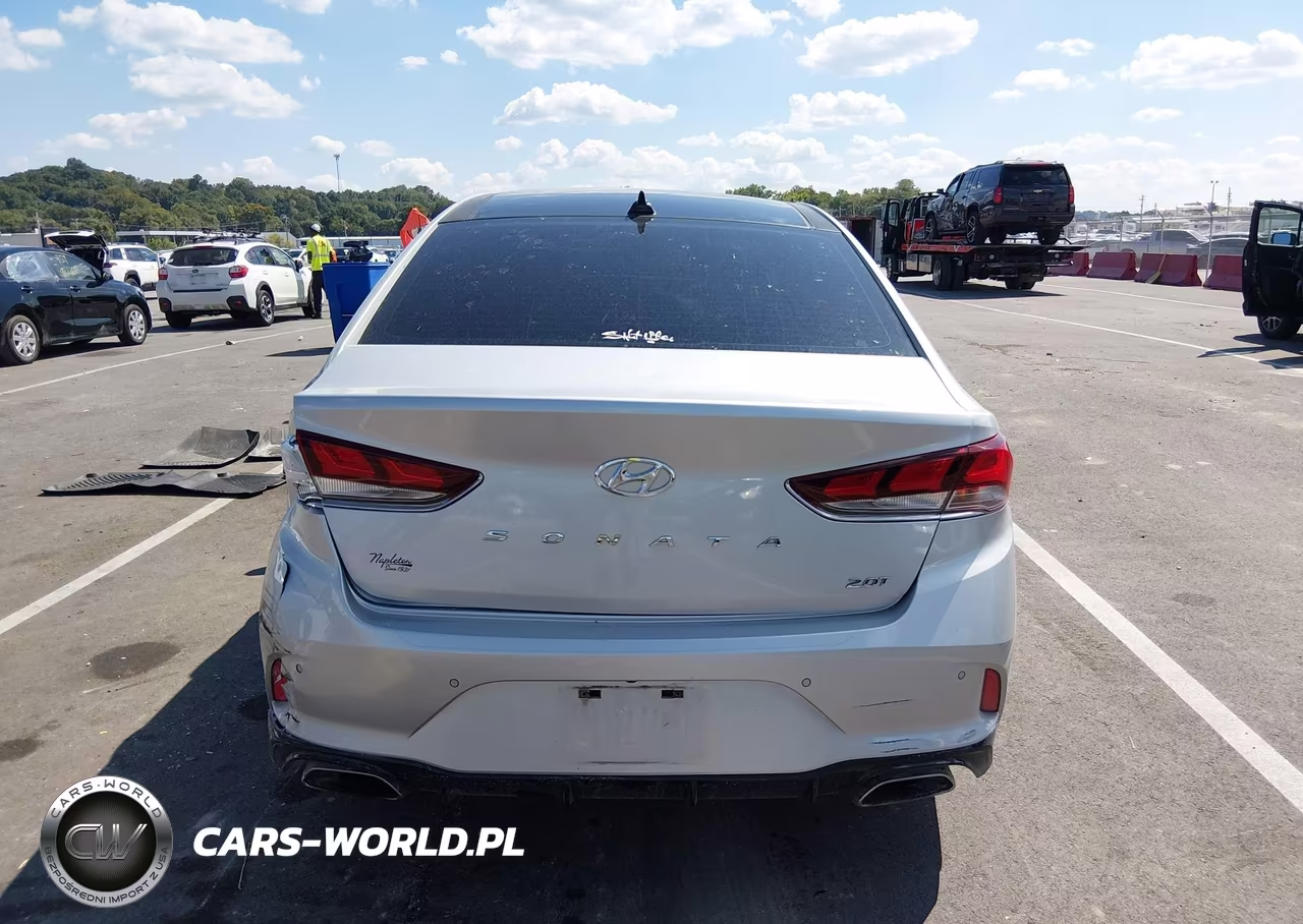 2019 Hyundai Sonata Limited 2.0T VIN:5NPE34AB8KH751681 - 16