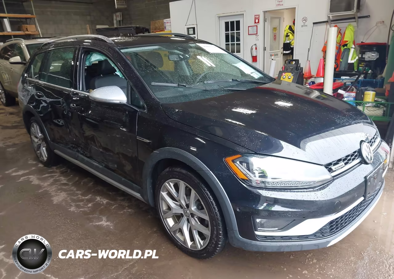 2019 Volkswagen Golf Alltrack Tsi S-Tsi Se-Tsi Sel