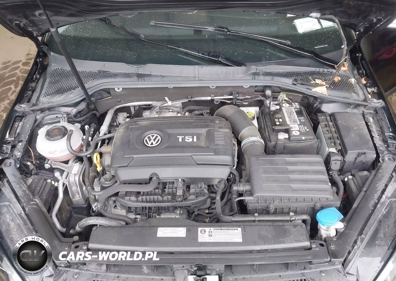 2019 Volkswagen Golf Alltrack Tsi S-Tsi Se-Tsi Sel VIN:3VWM17AU8KM507654 - 10