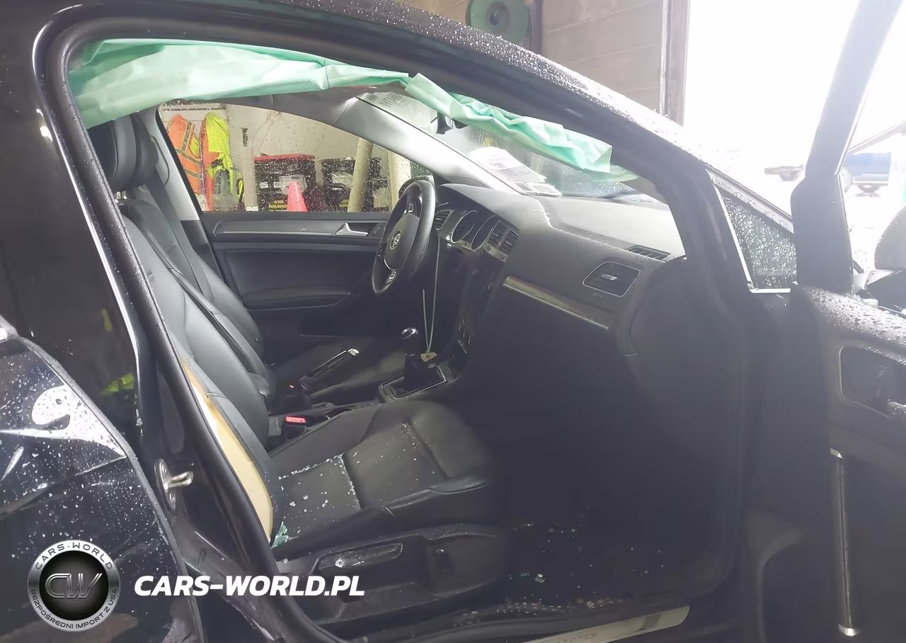 2019 Volkswagen Golf Alltrack Tsi S-Tsi Se-Tsi Sel VIN:3VWM17AU8KM507654 - 5