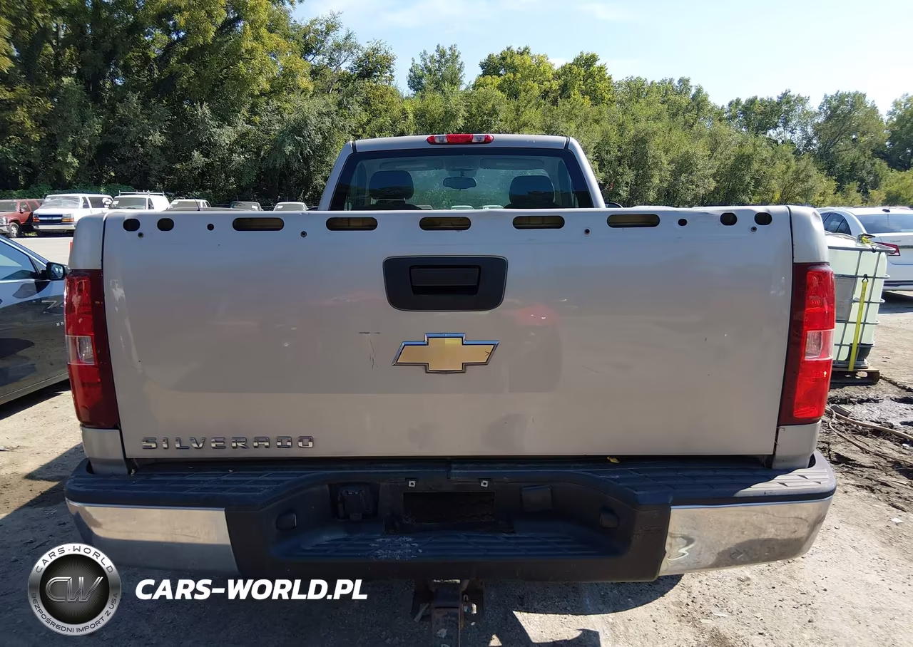 2008 Chevrolet Silverado 1500 Work Truck VIN:1GCEC14C78Z312251 - 17