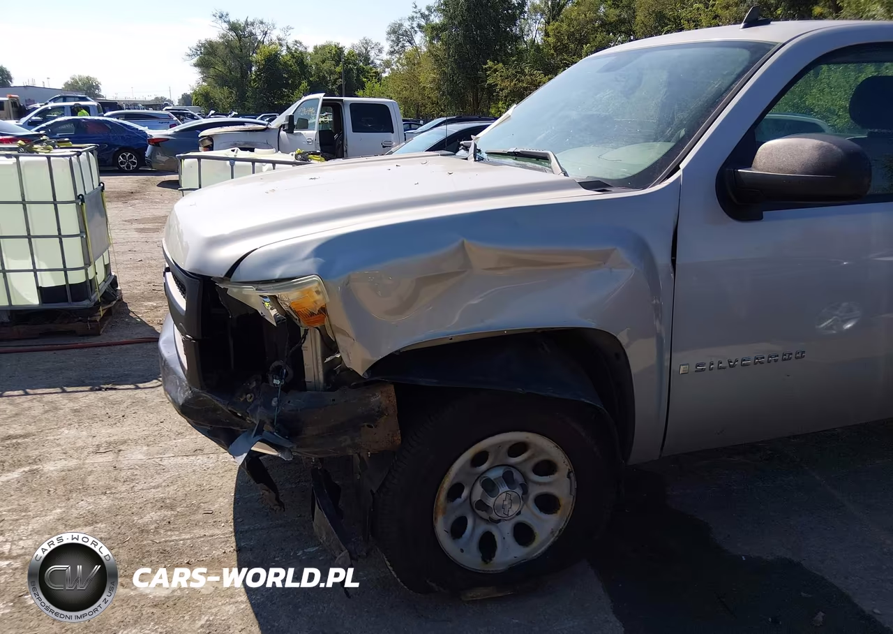 2008 Chevrolet Silverado 1500 Work Truck VIN:1GCEC14C78Z312251 - 18