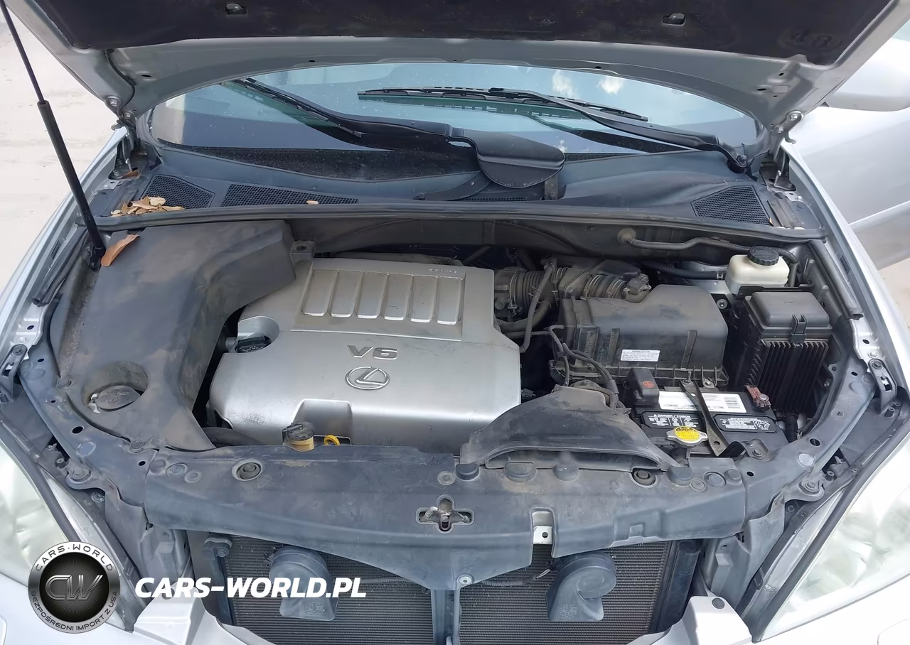 2009 Lexus Rx 350 VIN:2T2GK31U19C071203 - 10