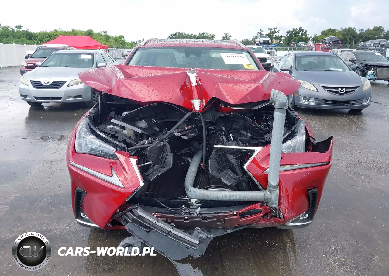 2021 Lexus Nx 300 VIN:JTJGARBZ3M5034712 - 13