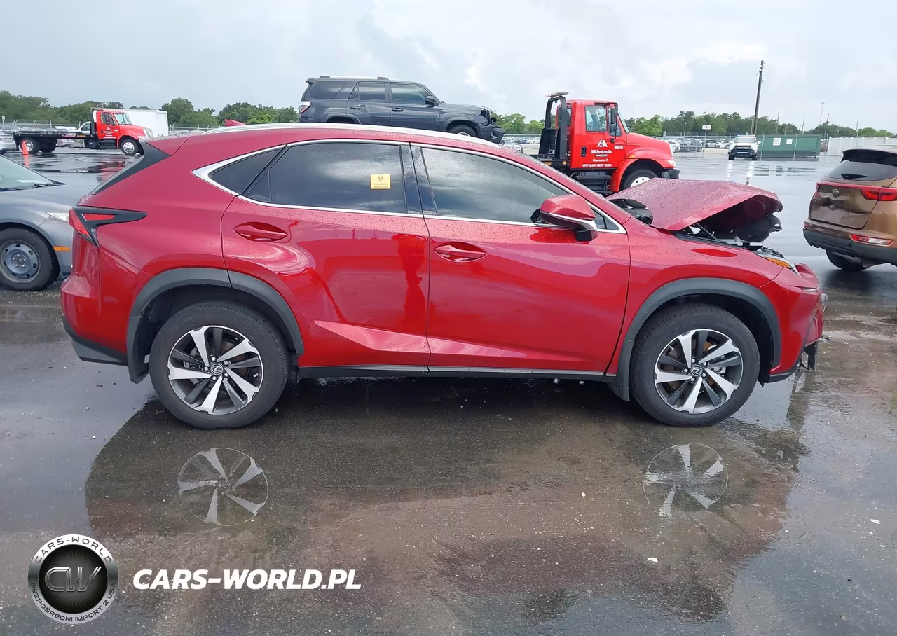 2021 Lexus Nx 300 VIN:JTJGARBZ3M5034712 - 14