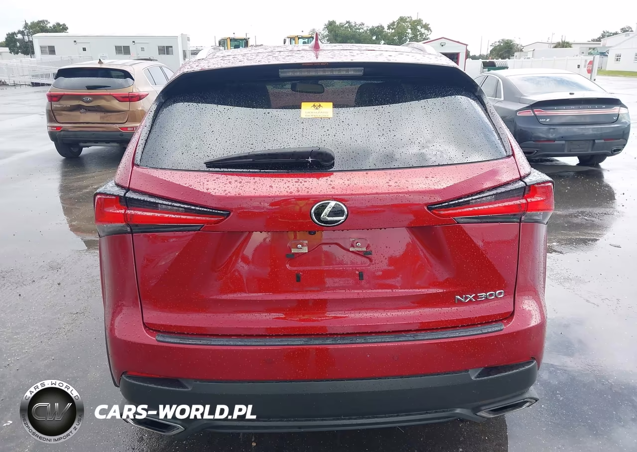 2021 Lexus Nx 300 VIN:JTJGARBZ3M5034712 - 17