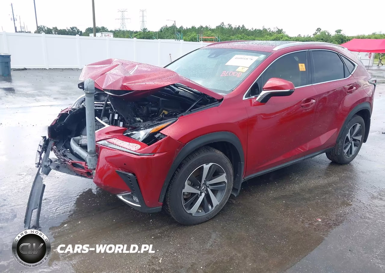 2021 Lexus Nx 300 VIN:JTJGARBZ3M5034712 - 2