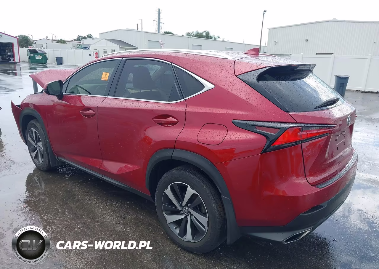 2021 Lexus Nx 300 VIN:JTJGARBZ3M5034712 - 3