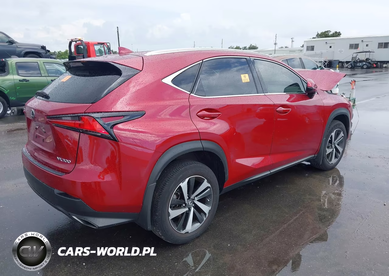 2021 Lexus Nx 300 VIN:JTJGARBZ3M5034712 - 4
