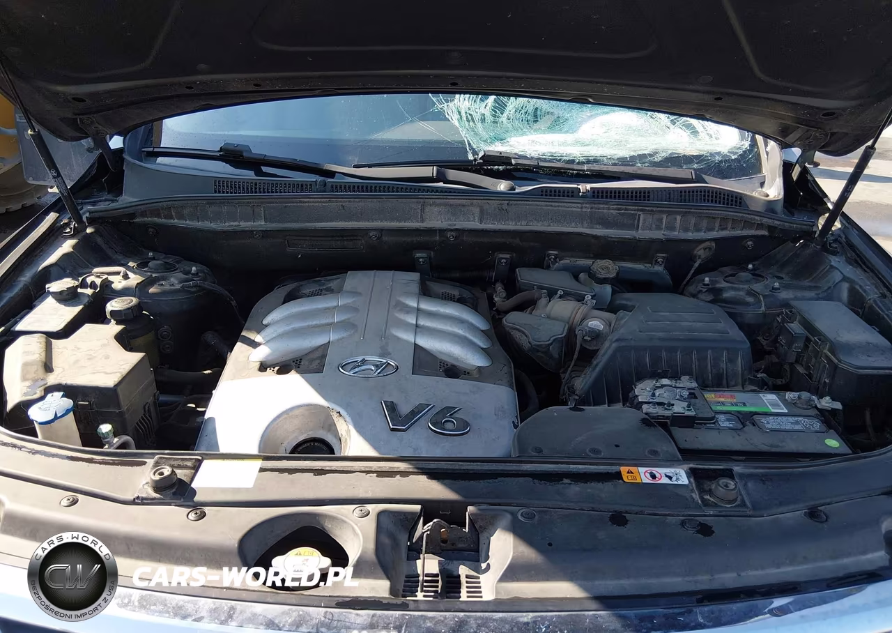 2012 Hyundai Veracruz Gls VIN:KM8NUDCC6CU205693 - 10