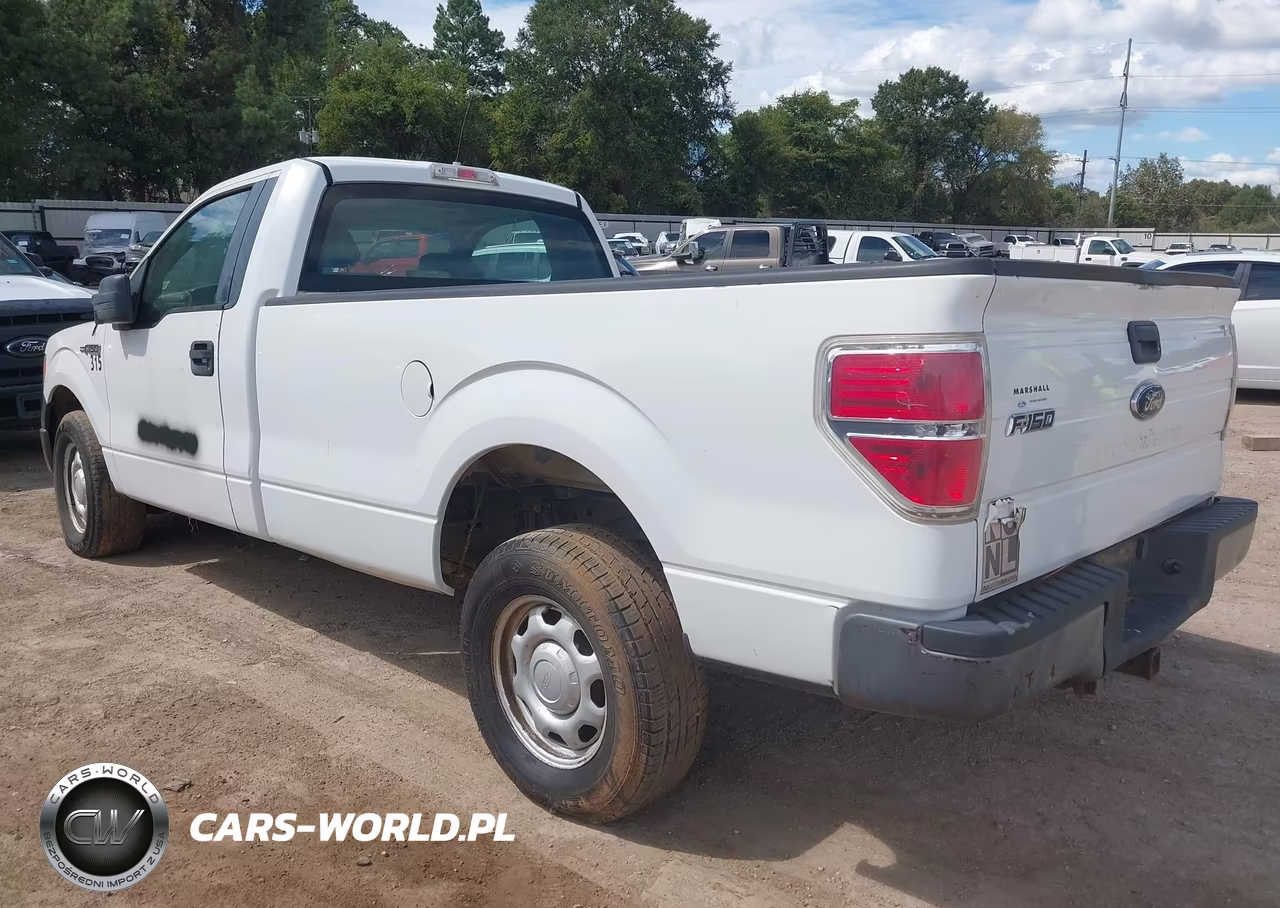 2010 Ford F-150 Stx-Xl-Xlt-Xlt W-Mid-Box Prep VIN:1FTMF1CW0AKE01379 - 3