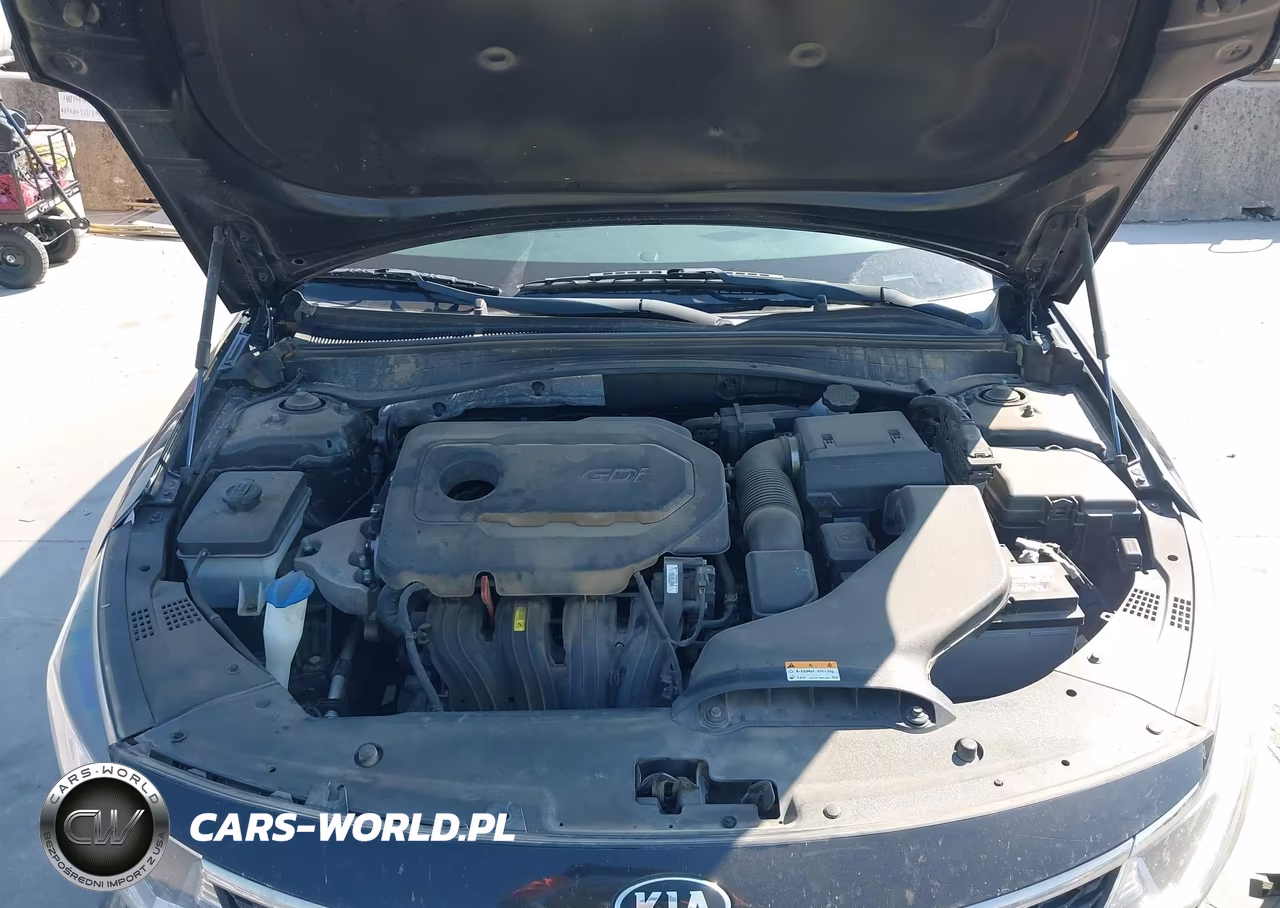 2017 Kia Optima Lx VIN:KNAGT4L33H5164728 - 10