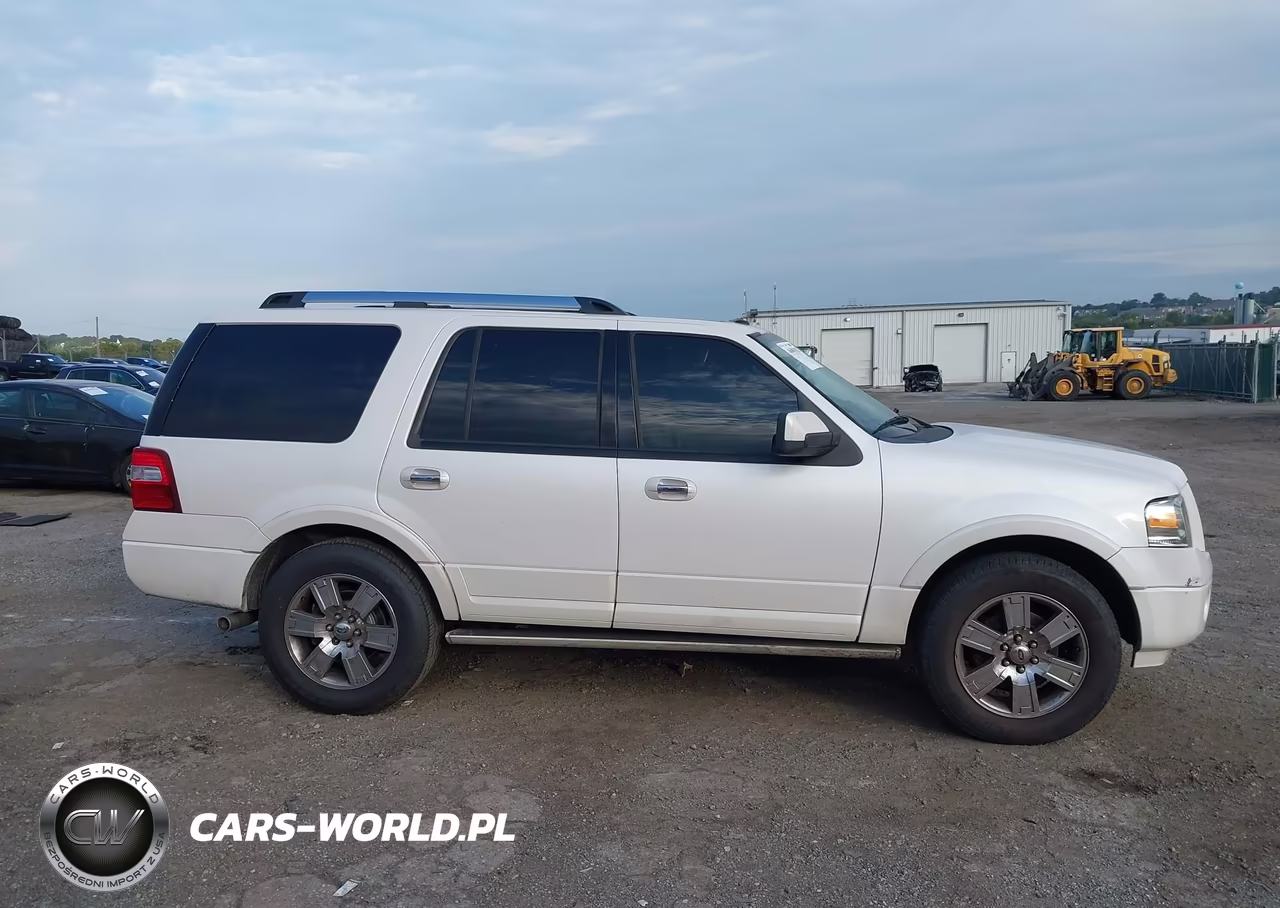 2010 Ford Expedition Limited VIN:1FMJU2A51AEA54390 - 13