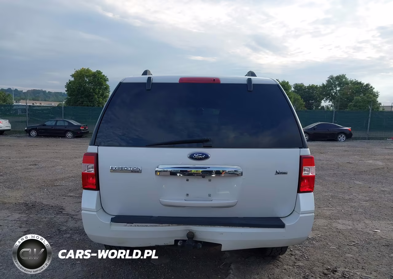 2010 Ford Expedition Limited VIN:1FMJU2A51AEA54390 - 16