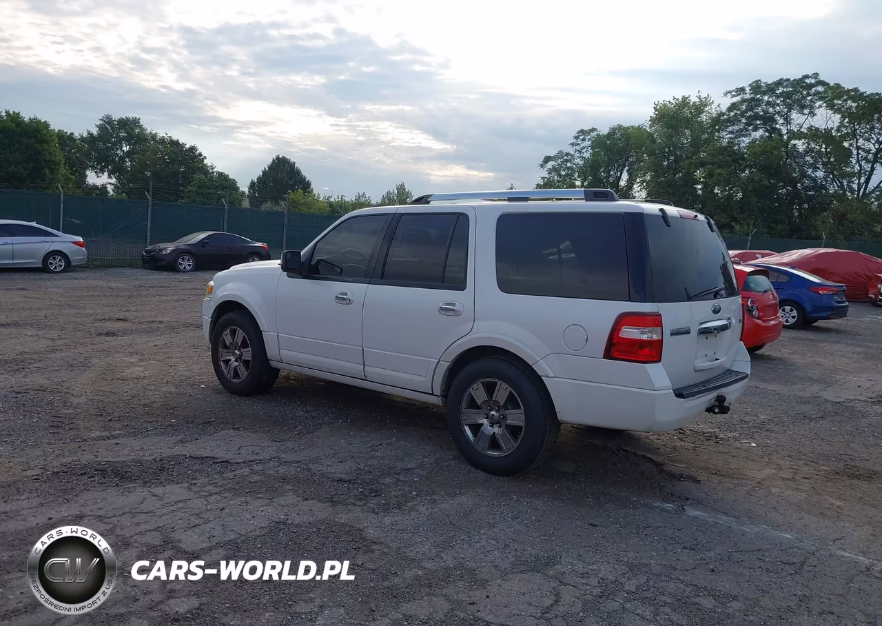 2010 Ford Expedition Limited VIN:1FMJU2A51AEA54390 - 3