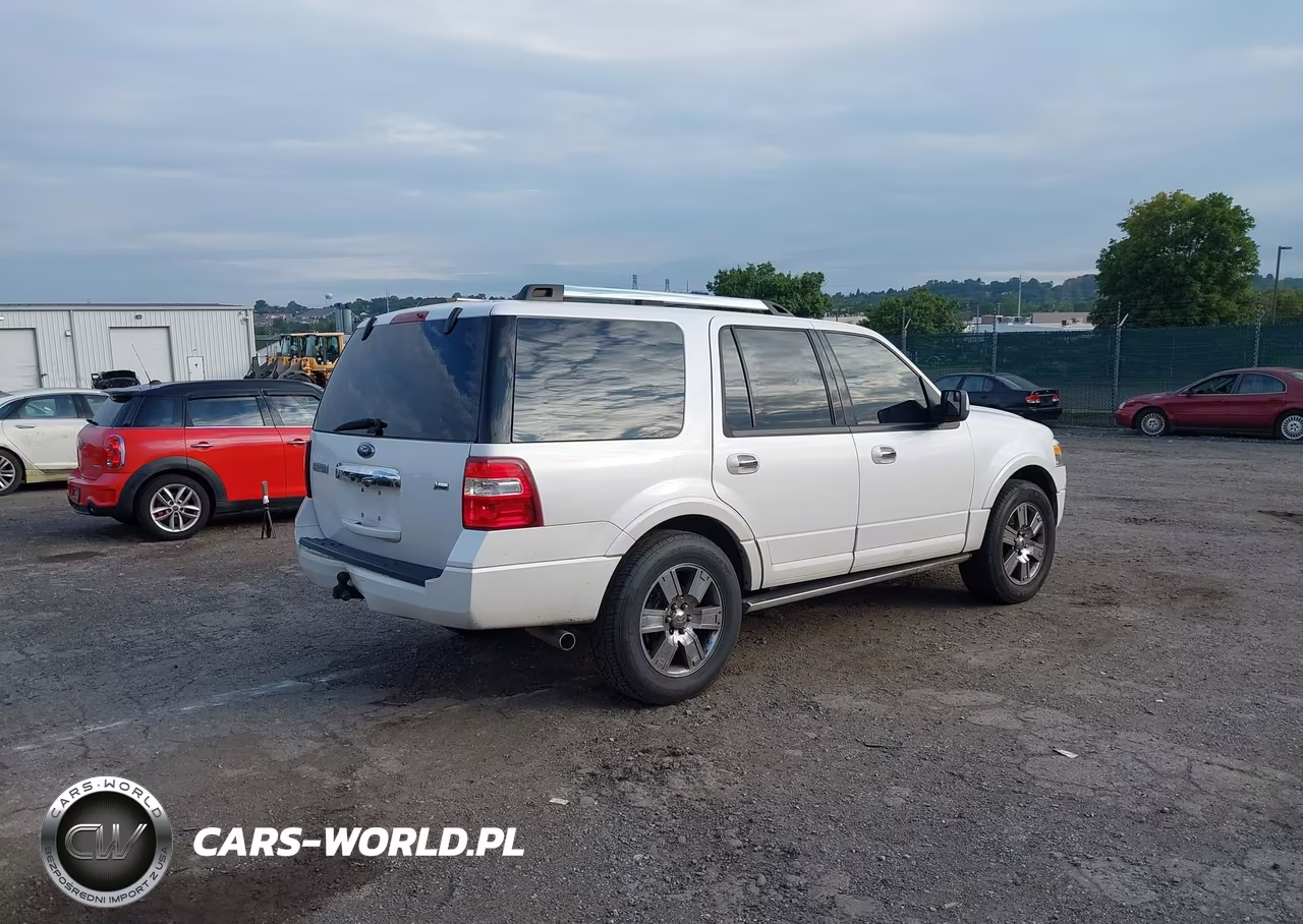 2010 Ford Expedition Limited VIN:1FMJU2A51AEA54390 - 4