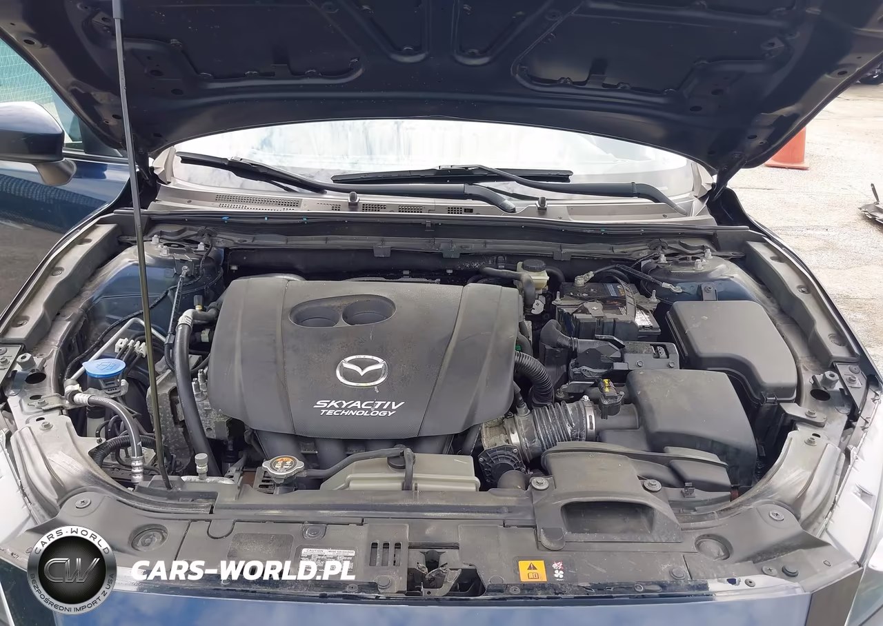 2016 Mazda Mazda3 I Sport VIN:3MZBM1T72GM241221 - 10