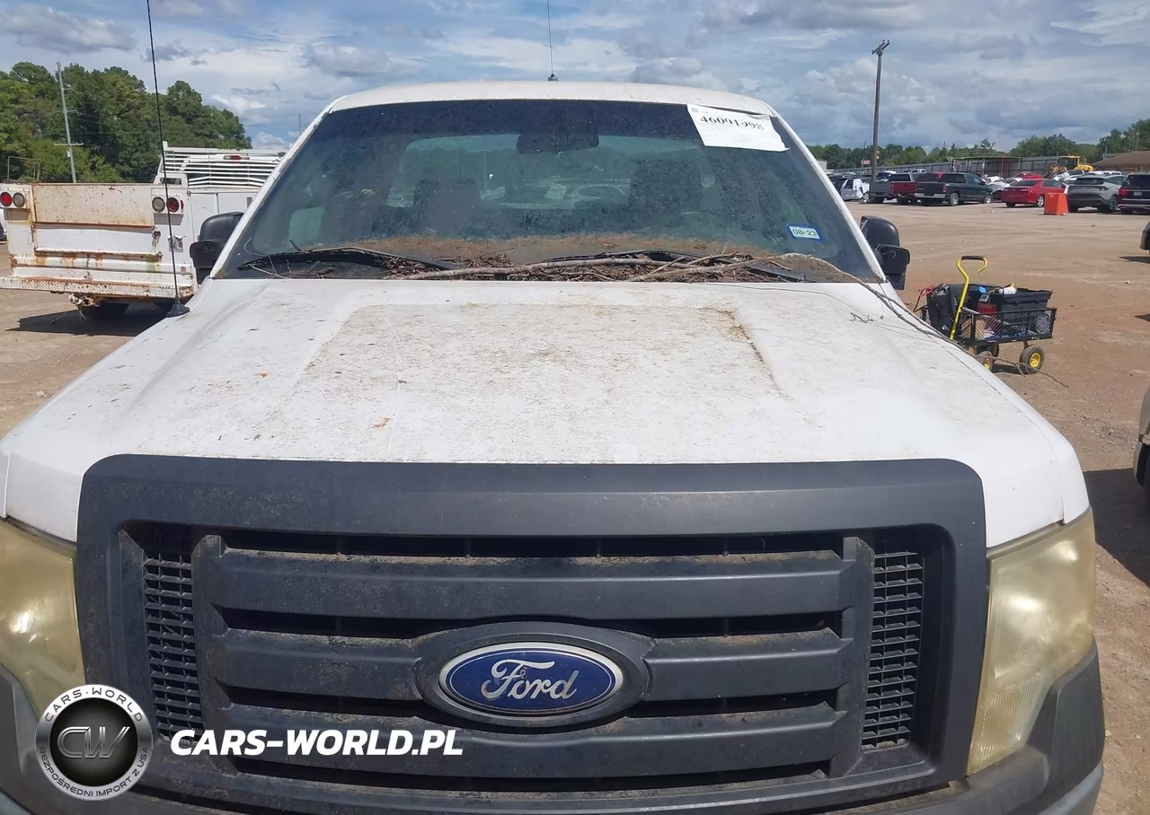2010 Ford F-150 Stx-Xl-Xlt-Xlt W-Mid-Box Prep VIN:1FTMF1CW8AKE21282 - 10