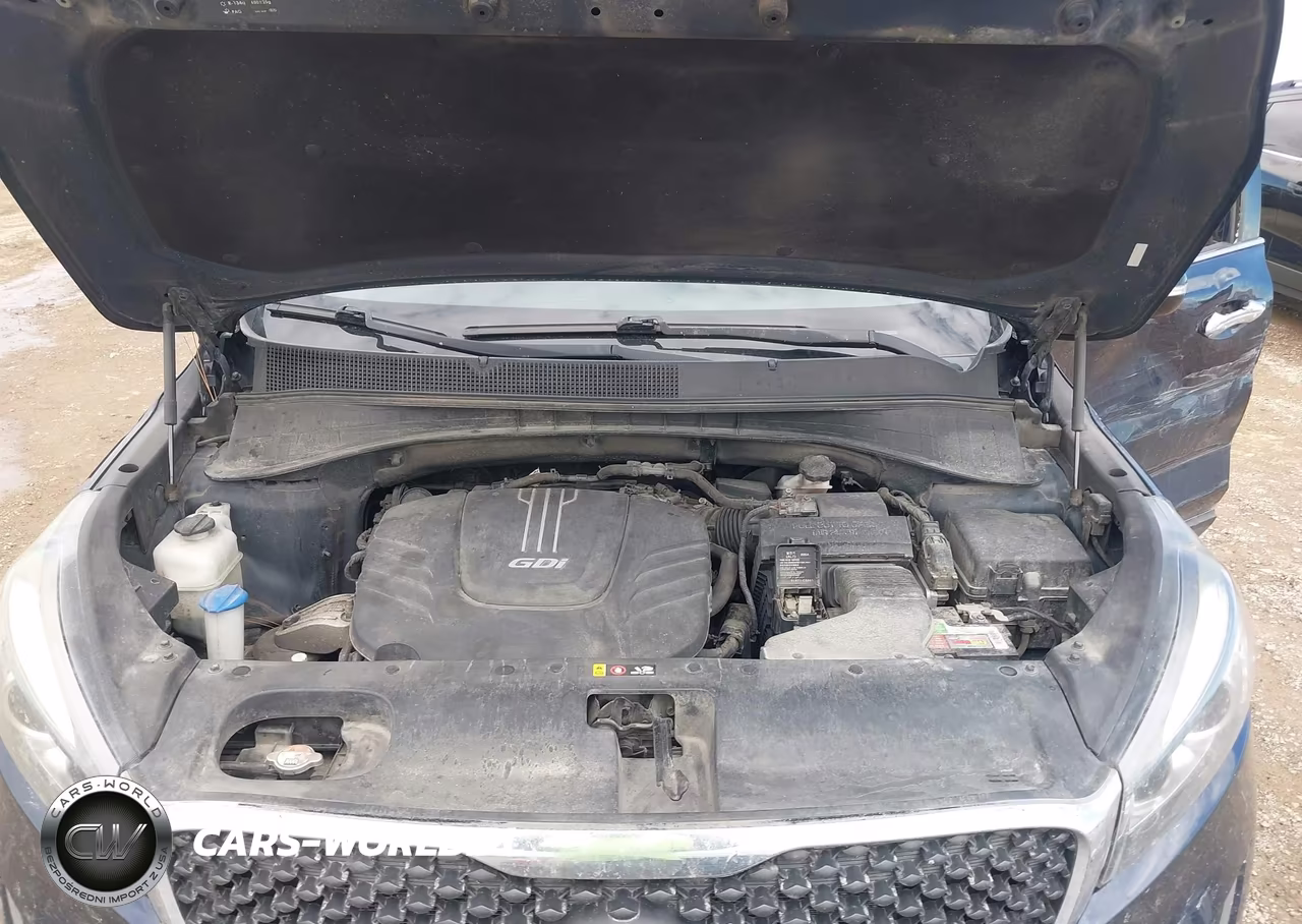 2017 Kia Sorento 3.3L Lx VIN:5XYPGDA58HG274080 - 10