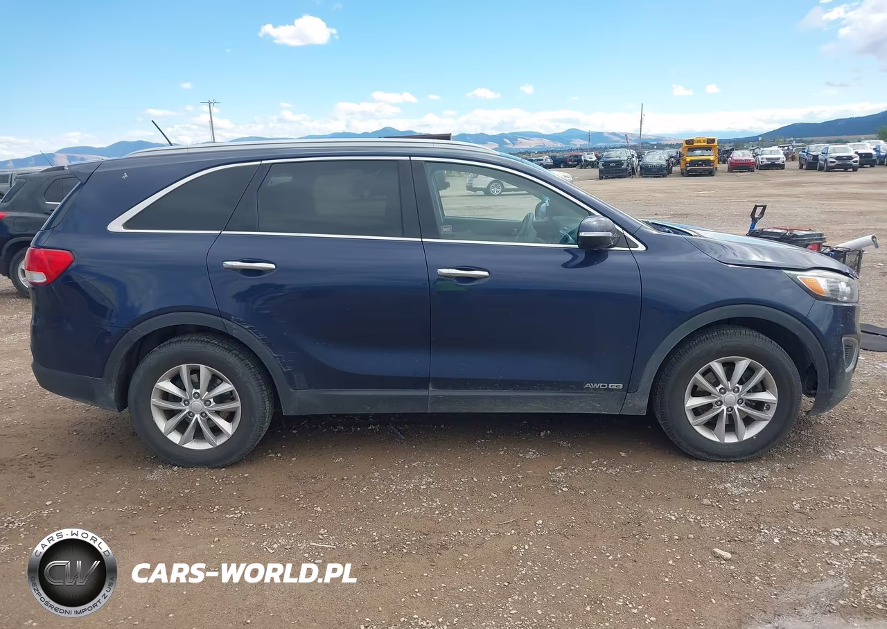 2017 Kia Sorento 3.3L Lx VIN:5XYPGDA58HG274080 - 13
