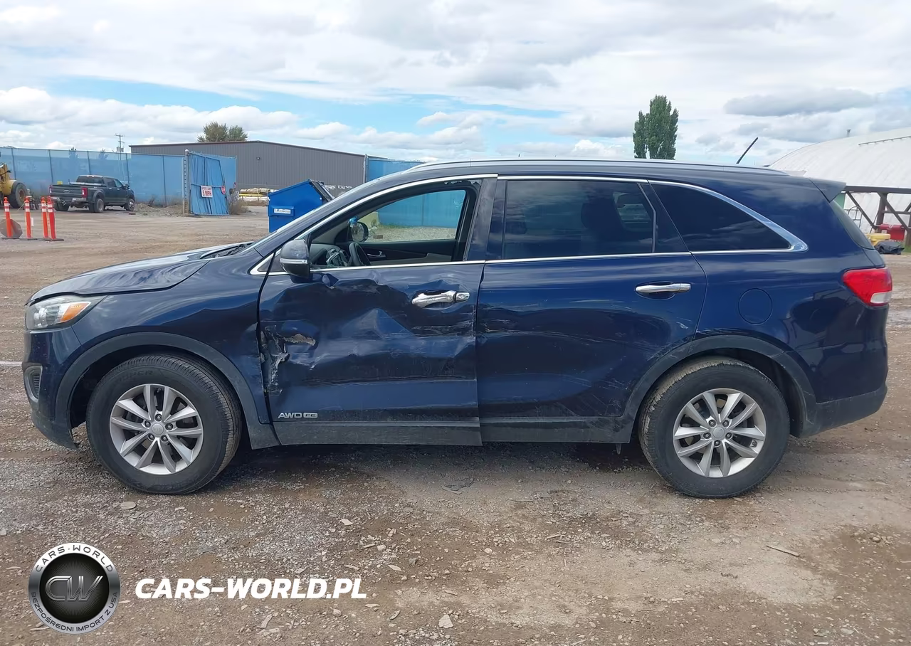 2017 Kia Sorento 3.3L Lx VIN:5XYPGDA58HG274080 - 14