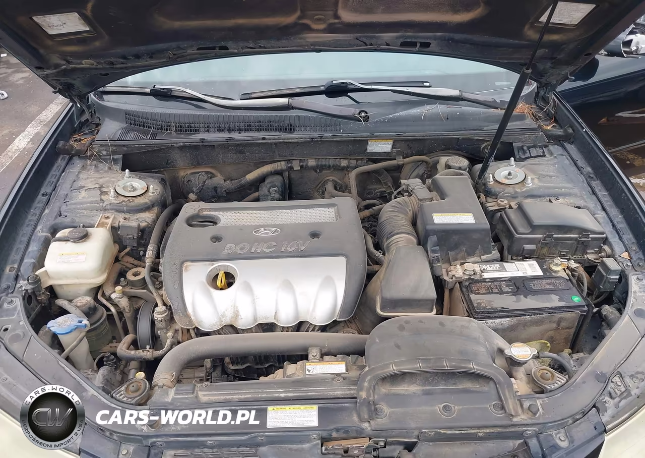 2006 Hyundai Sonata Gls VIN:KMHEU46C56A100211 - 10