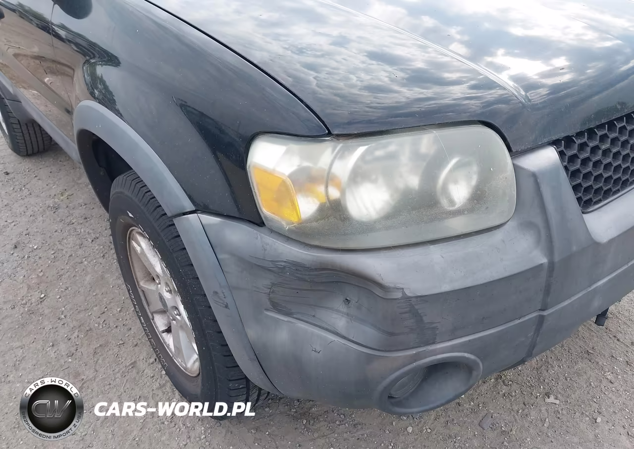 2006 Ford Escape Xlt-Xlt Sport VIN:1FMYU03166KB85918 - 6