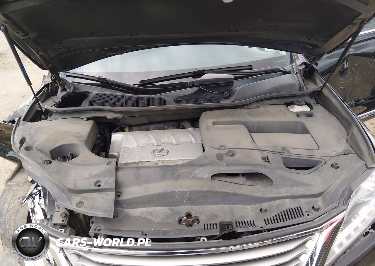 2015 Lexus Rx 350 VIN:2T2BK1BA5FC258197 - 10